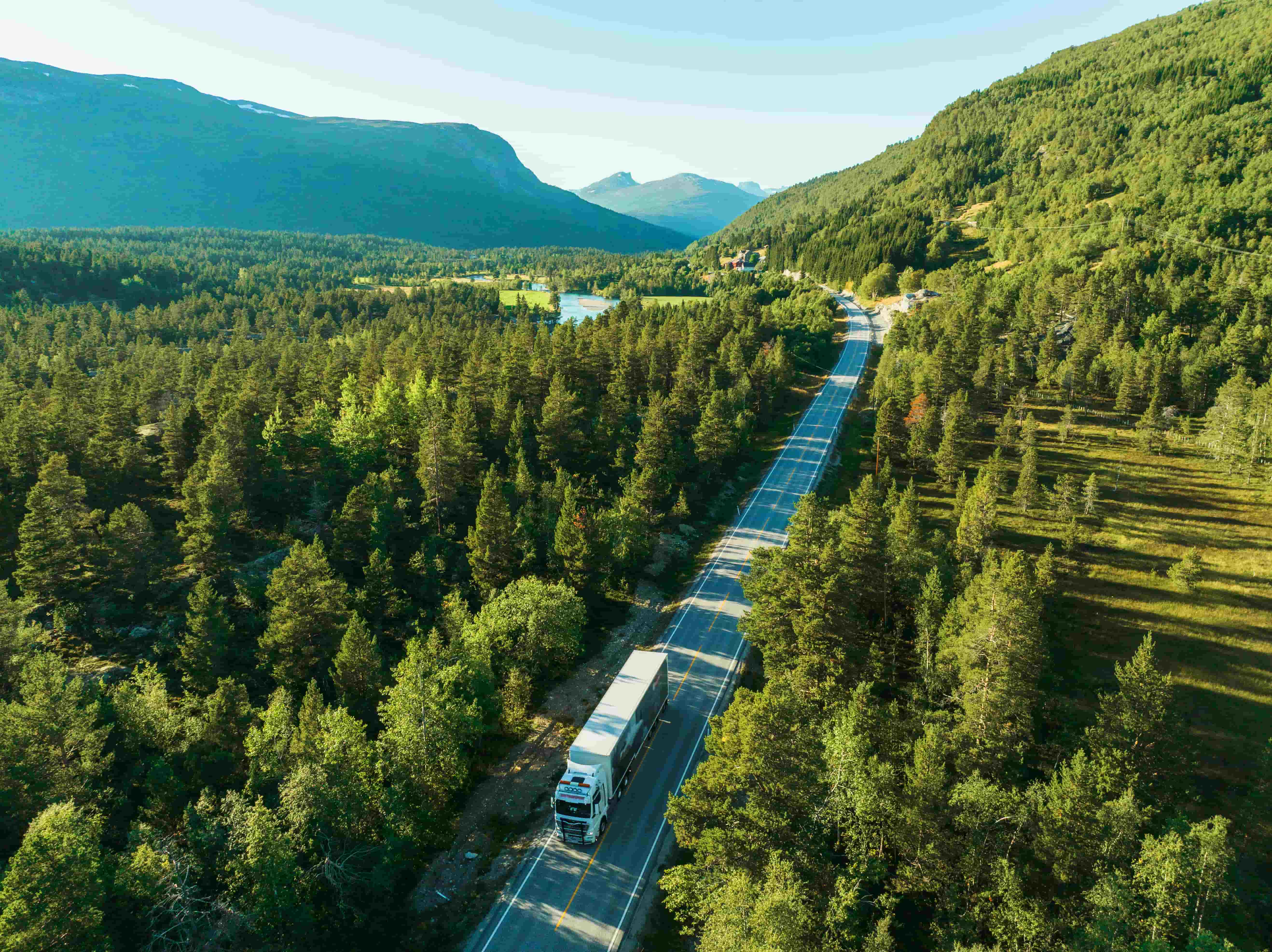 truck-road-forest
